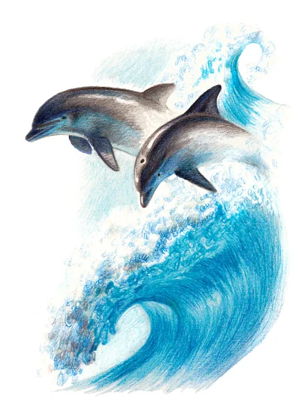 Color drawing: two dolphins on a wave. Watercolor pencils — Stock Photo, Image