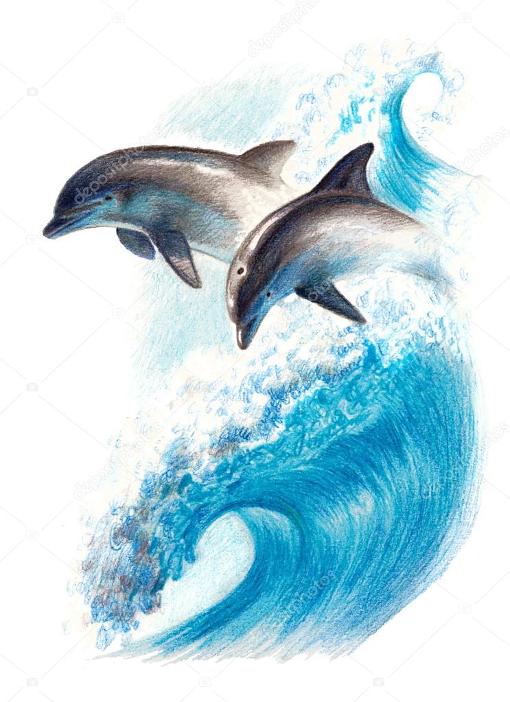 Dessin De Couleur Deux Dauphins Sur Une Vague Crayons