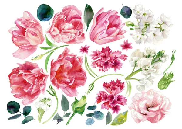 Set met bloemen lichte pasteltinten. Aquarel schilderij — Stockfoto