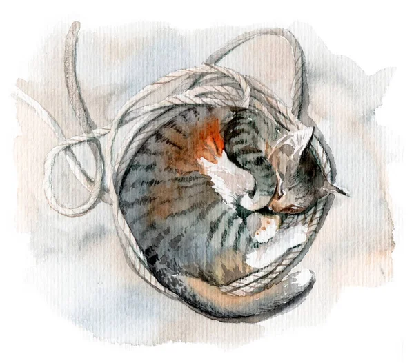 Иллюстрация Спящего Кота Цветные Реалистичные Акварели — стоковое фото