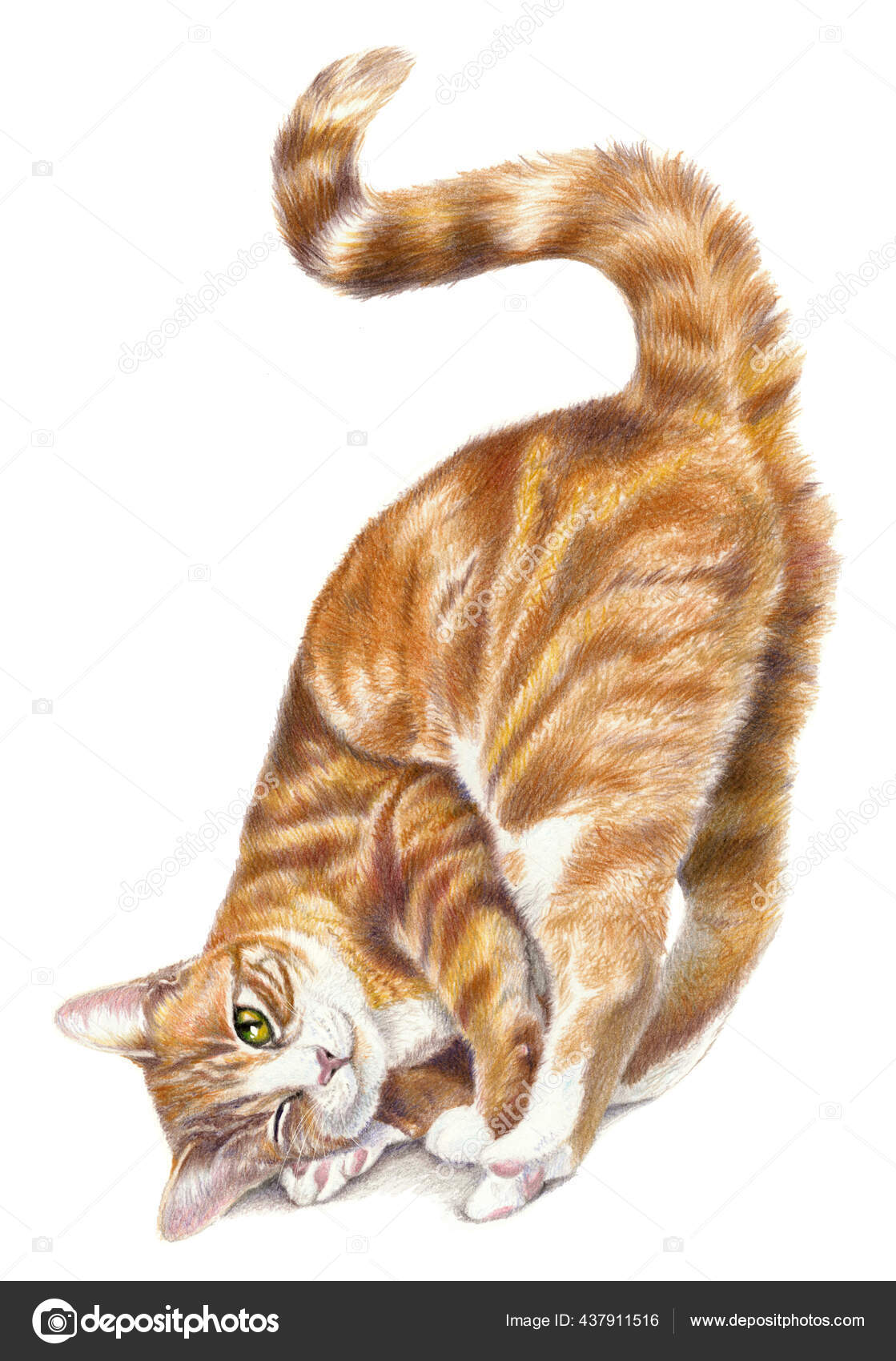 Fotos de Desenho de gato, Imagens de Desenho de gato sem royalties