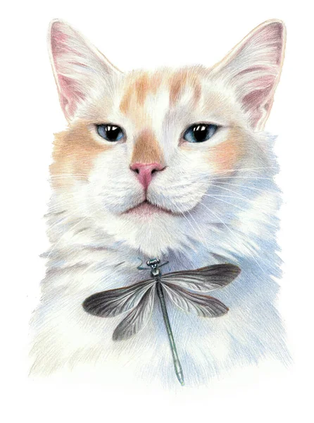 有蜻蜓的骄傲的猫 猫脸的颜色草图 被白色背景隔离 铅笔绘画艺术作品 — 图库照片