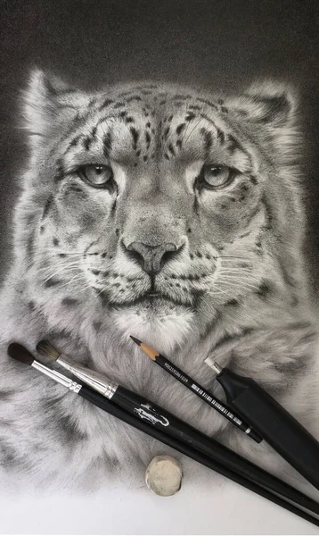 Dibujo Realista Retrato Leopardo Nieve Materiales Arte Borrador Pincel Lápiz —  Fotos de Stock