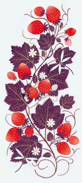 手绘草莓饰品 黑色背景隔离 紫罗兰艺术绘画 — 图库照片