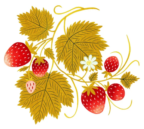 手绘草莓饰品 白色背景隔离 色彩温暖的艺术绘画 — 图库照片