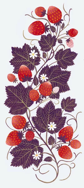 Hand Drawn Strawberry Ornament Isolated Black Background Violet Art Painting — Stock Photo, Image