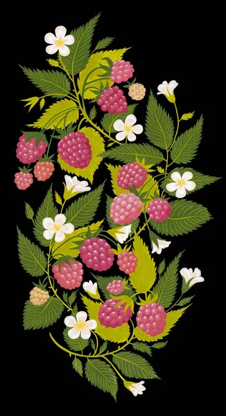 Hand Drawn Raspberry Ornament Isolated Black Background Art Painting Warm — Stock Photo, Image