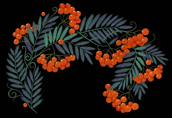 Drawn Rowan Branch Art Ornament Isolated Black Background — Stock Photo, Image