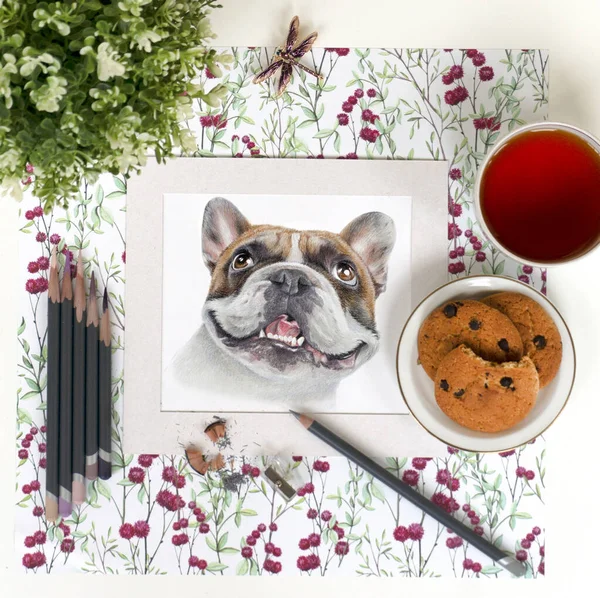 Workplace Artist Art Materials Portrait French Bulldog — Stock Photo, Image