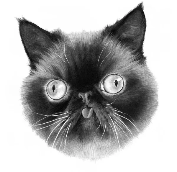 Retrato Monocromático Hiperrealista Gato Negro Con Lengua Aislado Sobre Fondo — Foto de Stock