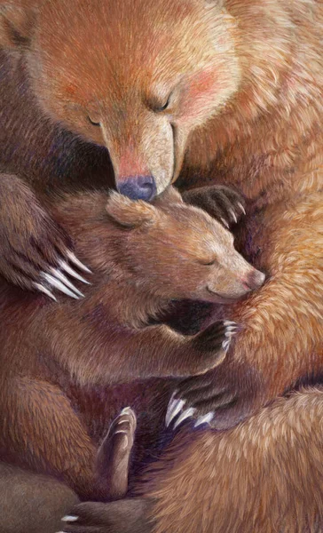 Mother bear hugs the bear cub. Realistic colored hand drawing. Detail of an illustration about motherhood. Mothers Day.