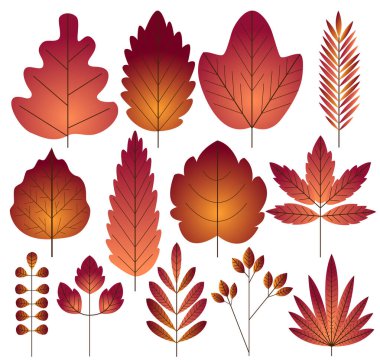 Farklı şekillerde sonbahar kırmızı yapraklarıyla kaplı. Renkli vektör illüstrasyonu.