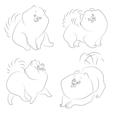 Spitz köpekleriyle çizim seti. Beyaz arkaplanda tek renkli vektör çizimi.