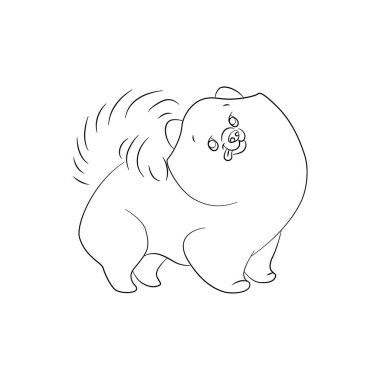 Spitz köpeğinin doğrusal çizimi. Beyaz arkaplanda tek renkli vektör çizimi.
