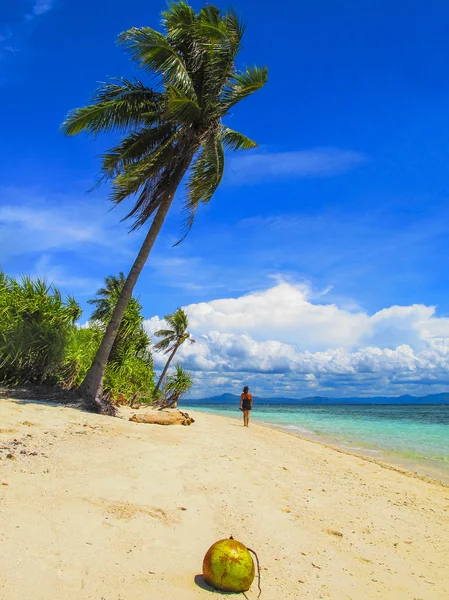 パミラカン島、フィリピンのビーチ ストック画像