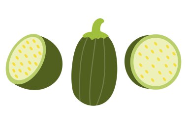 Kabak Bütünü ve Dilimler Sebze Çizimi