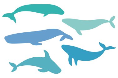 Balina Silueti Koleksiyonu