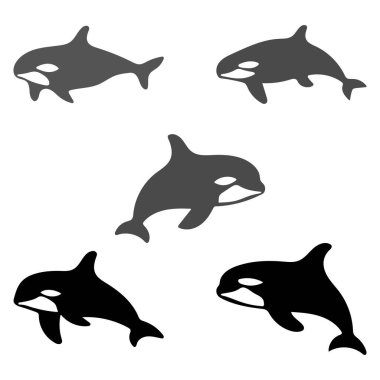 Orca Balinası Görüntü Seti