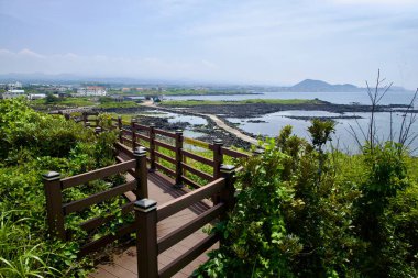 A wooden boardwalk climbs the headland above Shinheung, overlooking stone fish weirs, tidal channels, and the village spread along the bay.