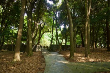 Samseonghyeol 'daki sık ağaçların arasından esen Paved yürüyüş yolları, alçak bazalt çitlerin ötesindeki iç duvarlara ve çimlere doğru ilerliyor..