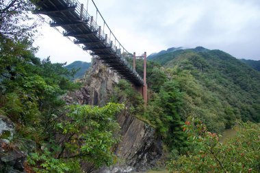 Tepeden, Sujupal Tepeleri Bulut Köprüsü Dalcheon 'un üstündeki uçurumlar arasından geçerken Sobaek eteklerindeki dağların sisleri arasında asılı duruyor..