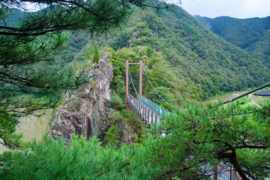 Çam dalları, Sujupal Tepeleri Bulut Köprüsü 'nü Jinnamgyoban dönemecinde Dalcheon' un üzerindeki bir uçurum çizgisini aşarken yüksek bir görüntü oluşturur..