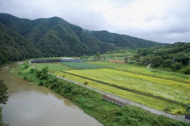 Pirinç ve sebze tarlaları Dalcheon boyunca uzanır. Çiftlik yolları ve Sujupal Tepeleri yakınlarındaki ormanlık dağ eteklerinin altındaki setler..