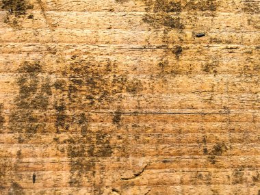 Eski kirli ahşap dokusu