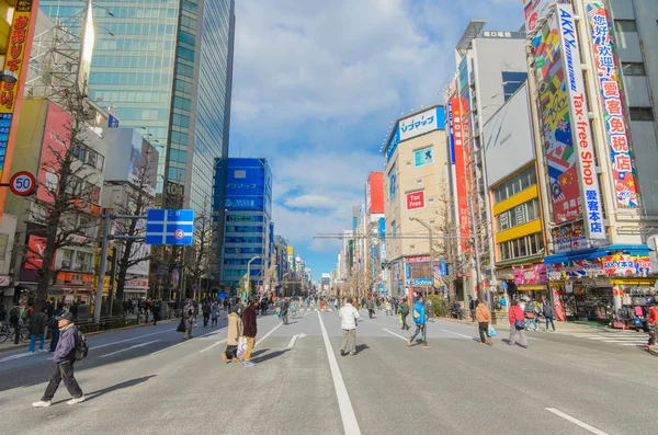 Tokyo, Giappone - 24 gennaio 2016: distretto di Akihabara a Tokyo, Giappone. Il quartiere di Akihabara è molto affollato e chiuso per il traffico automobilistico ogni domenica, quindi i pedoni possono camminare liberamente. . — Foto Stock