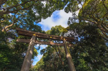 Meiji Jingu Shrine yoyogi park ve arch. Harajuku tokyo
