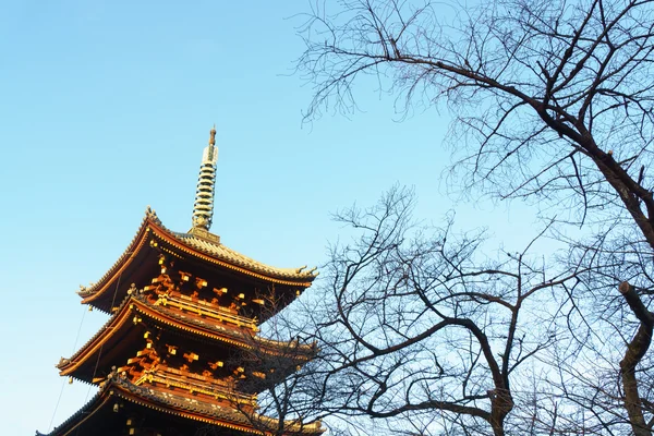 Пятиэтажная пагода в храме Уэно Тошогу вечером. Токио, Япония . — стоковое фото