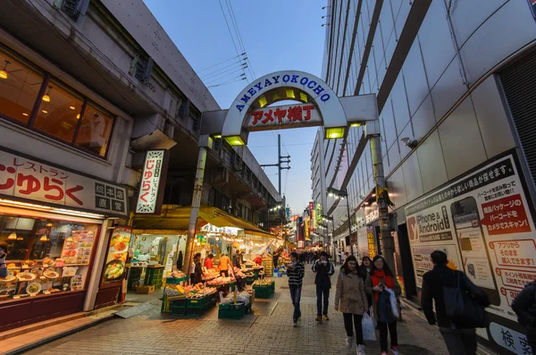 东京，日本-2016 年 1 月 27 日︰ Ameyoko 购物街在 tokyo,Japan.Ameyoko 是很繁忙的市场沿附近上野站跳轨. — 图库照片