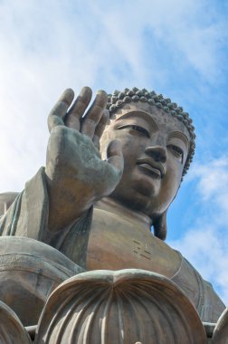 Palmiye bakacak Lantau Buddha