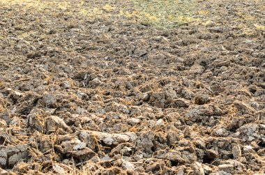 poligonal arka plan vektör