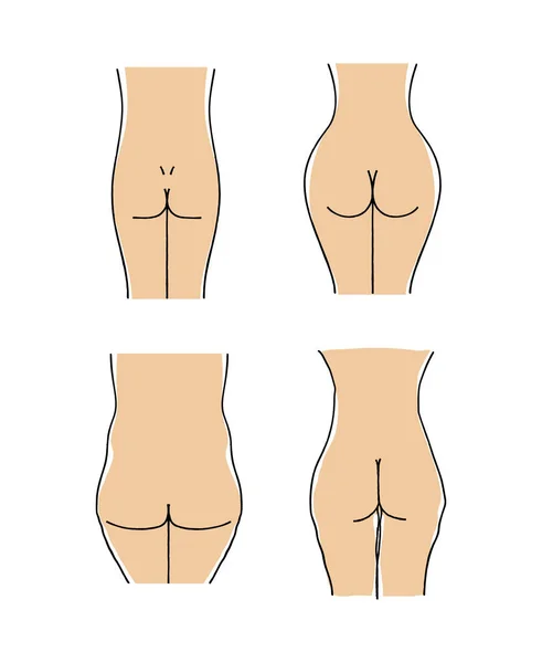 Femme Fesses Différentes Formes Vecteur — Image vectorielle