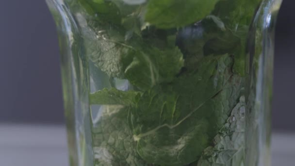 Mojito Cocktail i ett glas — Stockvideo