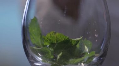 Bir bardağa nane ekleme