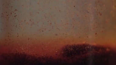 Portre bir kokteylin yüzen tarçın