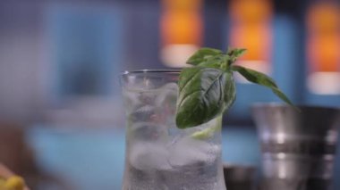 Kokteyl Çubuğu'nda nane ile