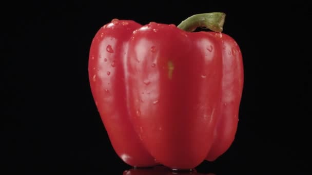 Red bell pepper on black background — Stock Video