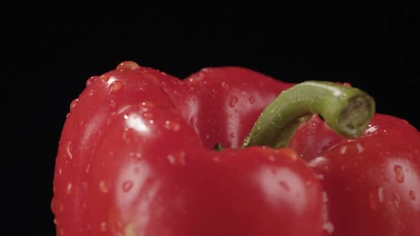 在黑色背景上的红色甜椒的特写镜头 — 图库视频影像