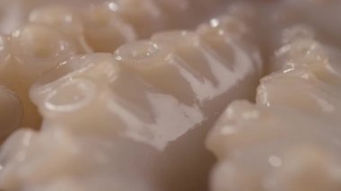 Ham ahtapot Close-Up