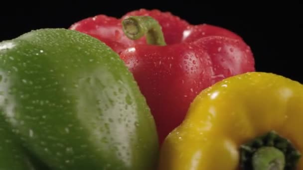 Γκρο πλαν, πιπεριές σε μαύρο φόντο — Αρχείο Βίντεο