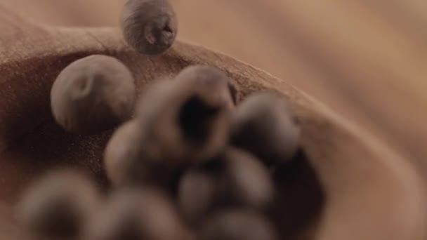 Close-up of peppercorn falling on a wooden spoon — Stock Video