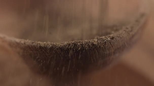 Caracatiță brută pe un fundal negru — Videoclip de stoc