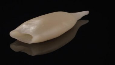 Siyah bir arka plan üzerinde iplik kalamar 