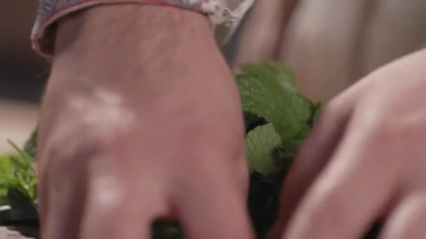Close-up de queda de salsa — Vídeo de Stock