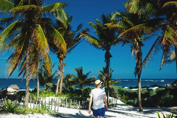 Powrót do strony głównej nierozpoznany turysta spacerujący po plaży z palmami — Zdjęcie stockowe