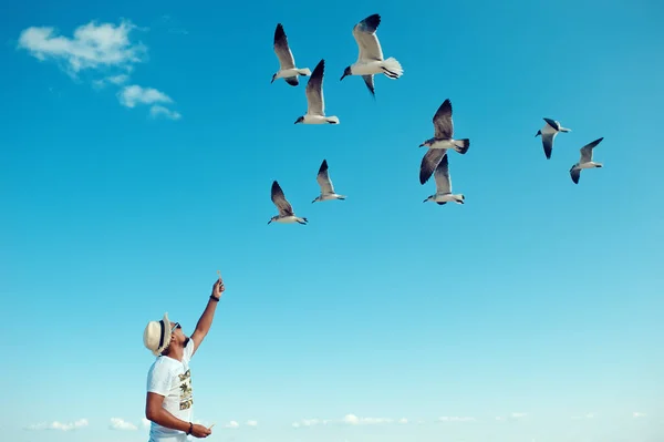Turist erkek, kumsalda mavi gökyüzüne karşı martı sürüsü besliyor.