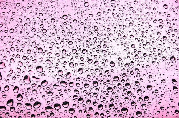 Water texture in pink with large drops